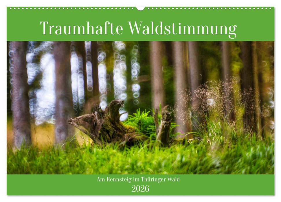 Traumhafte Waldstimmung am Rennsteig im Thüringer Wald (CALVENDO Wandkalender 2026)