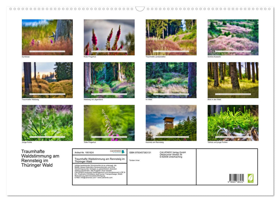 Traumhafte Waldstimmung am Rennsteig im Thüringer Wald (CALVENDO Wandkalender 2026)