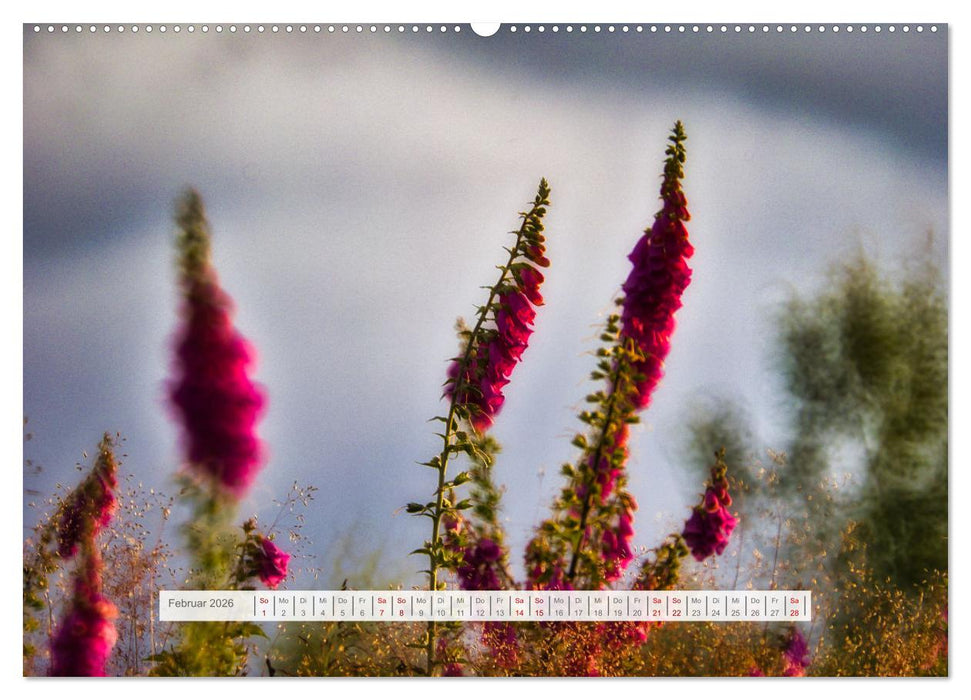Traumhafte Waldstimmung am Rennsteig im Thüringer Wald (CALVENDO Wandkalender 2026)