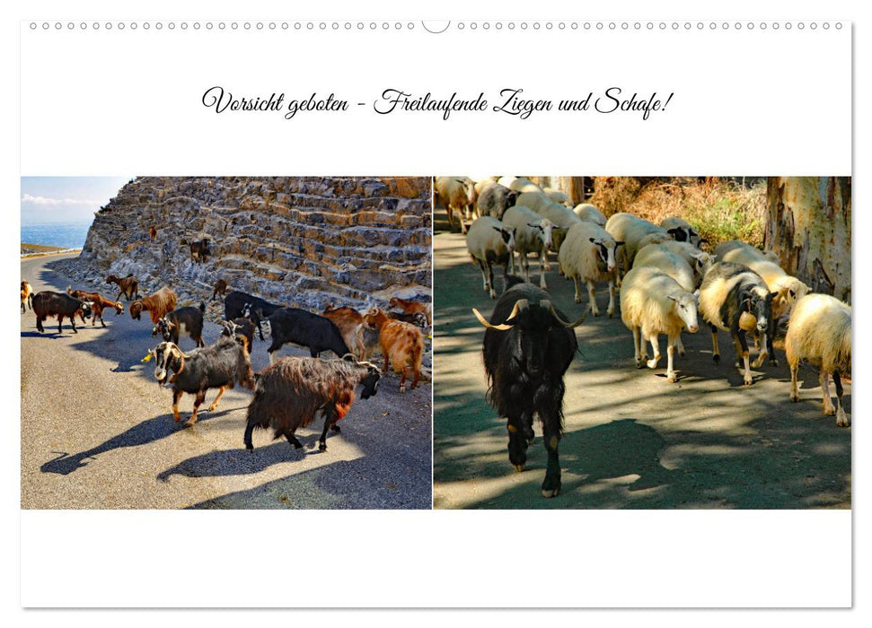 Typisch Kreta (CALVENDO Premium Wandkalender 2026)