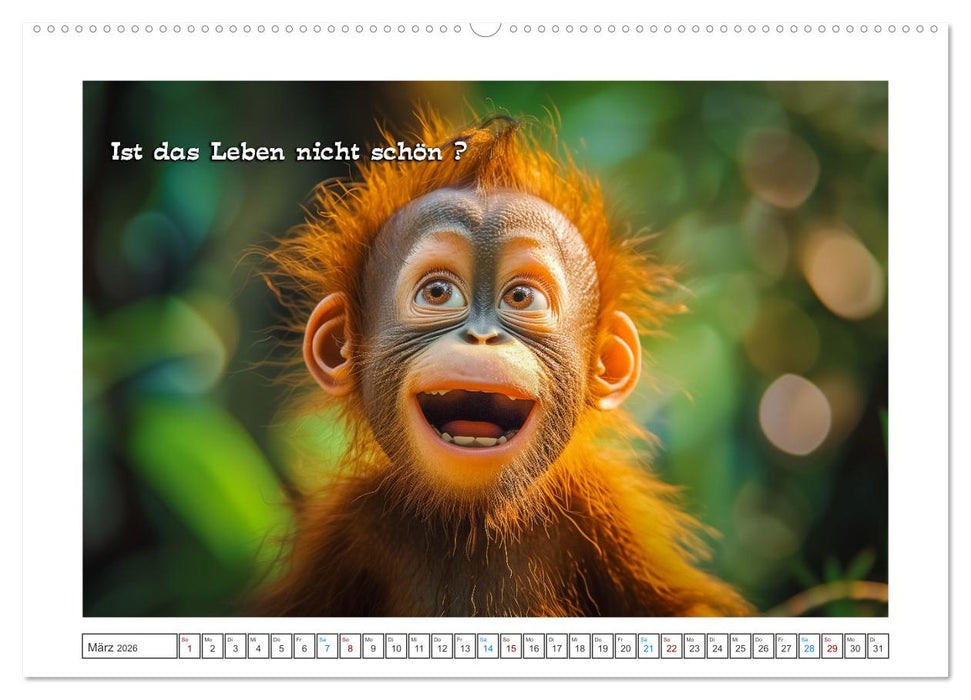 Humorvoll durch das Jahr (CALVENDO Wandkalender 2026)