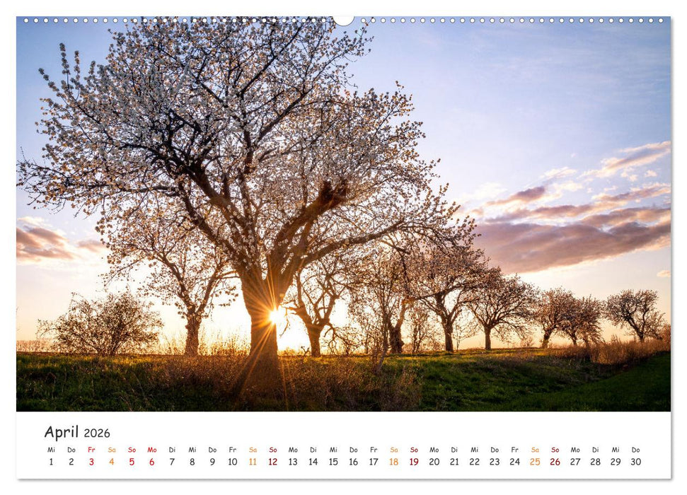 Magischer Harzwald (CALVENDO Premium Wandkalender 2026)