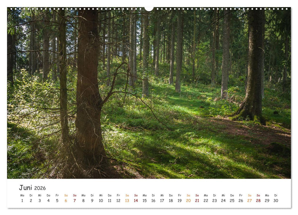 Magischer Harzwald (CALVENDO Premium Wandkalender 2026)