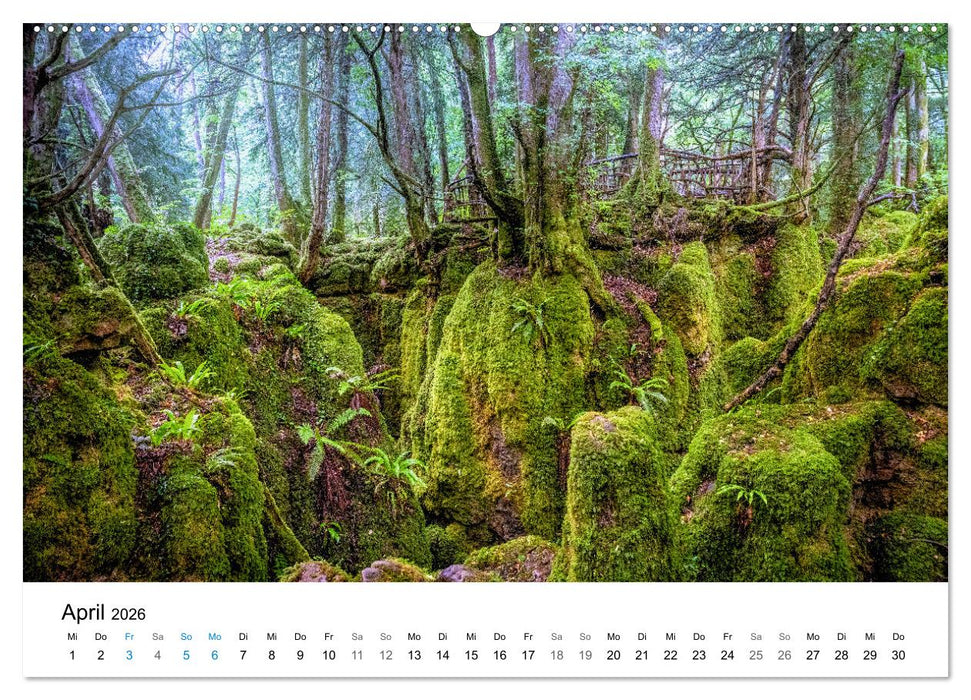 Wales - Eine Hommage an berührende Landschaften (CALVENDO Premium Wandkalender 2026)