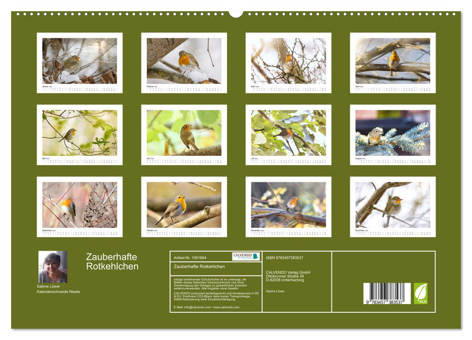 Zauberhafte Rotkehlchen (CALVENDO Premium Wandkalender 2026)
