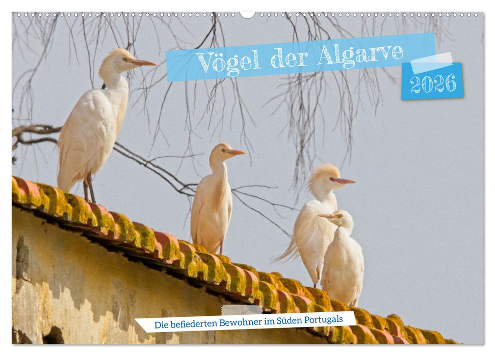 Vögel der Algarve (CALVENDO Wandkalender 2026)