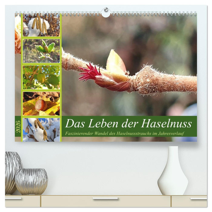 Das Leben der Haselnuss (CALVENDO Premium Wandkalender 2026)
