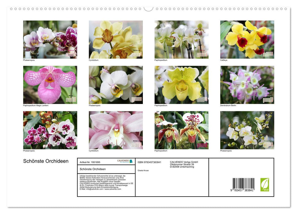 Schönste Orchideen (CALVENDO Premium Wandkalender 2026)