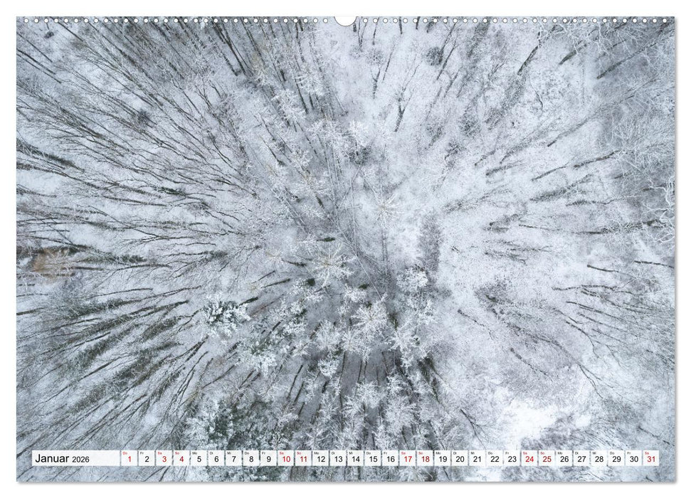 Traumhafte Wälder (CALVENDO Premium Wandkalender 2026)