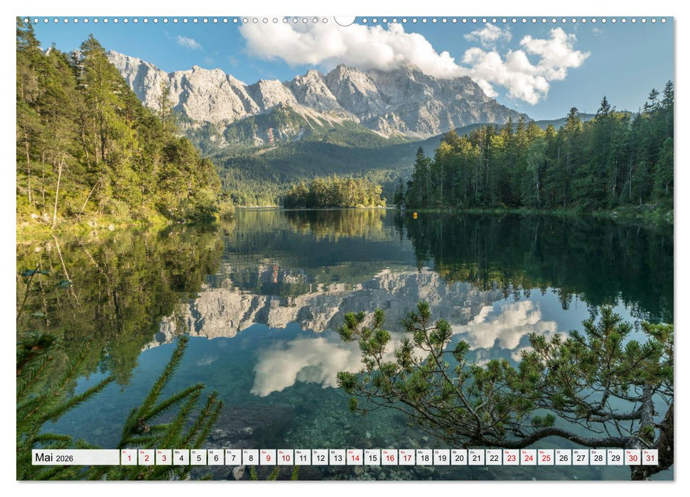 Traumhafte Wälder (CALVENDO Premium Wandkalender 2026)
