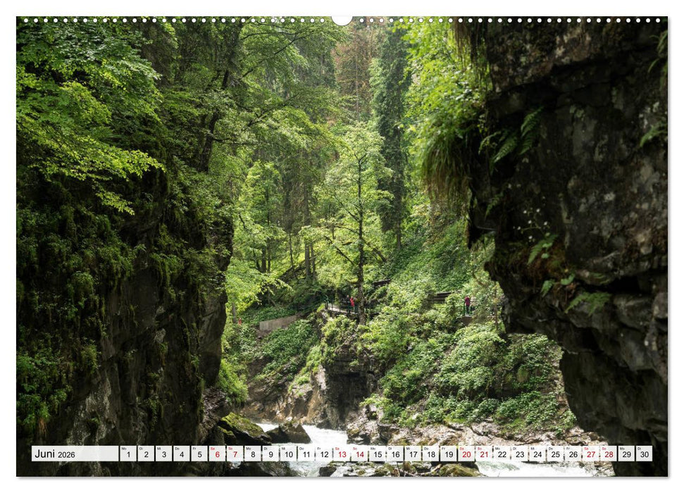 Traumhafte Wälder (CALVENDO Premium Wandkalender 2026)