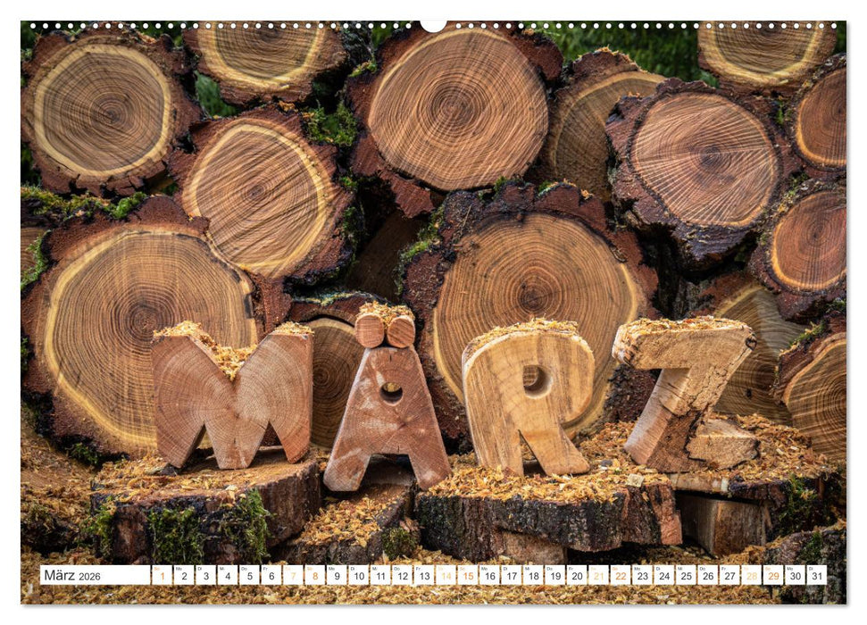 Holz, ein fantastischer Rohstoff. (CALVENDO Premium Wandkalender 2026)