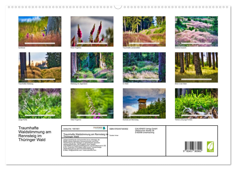 Traumhafte Waldstimmung am Rennsteig im Thüringer Wald (CALVENDO Premium Wandkalender 2026)