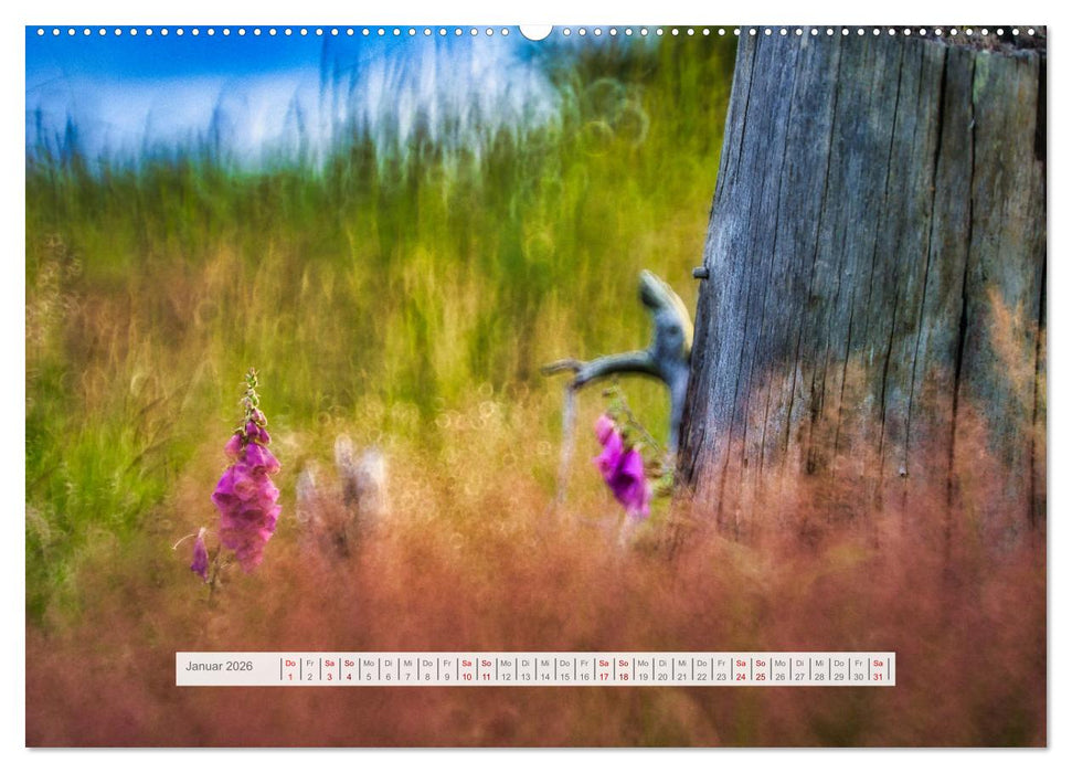 Traumhafte Waldstimmung am Rennsteig im Thüringer Wald (CALVENDO Premium Wandkalender 2026)