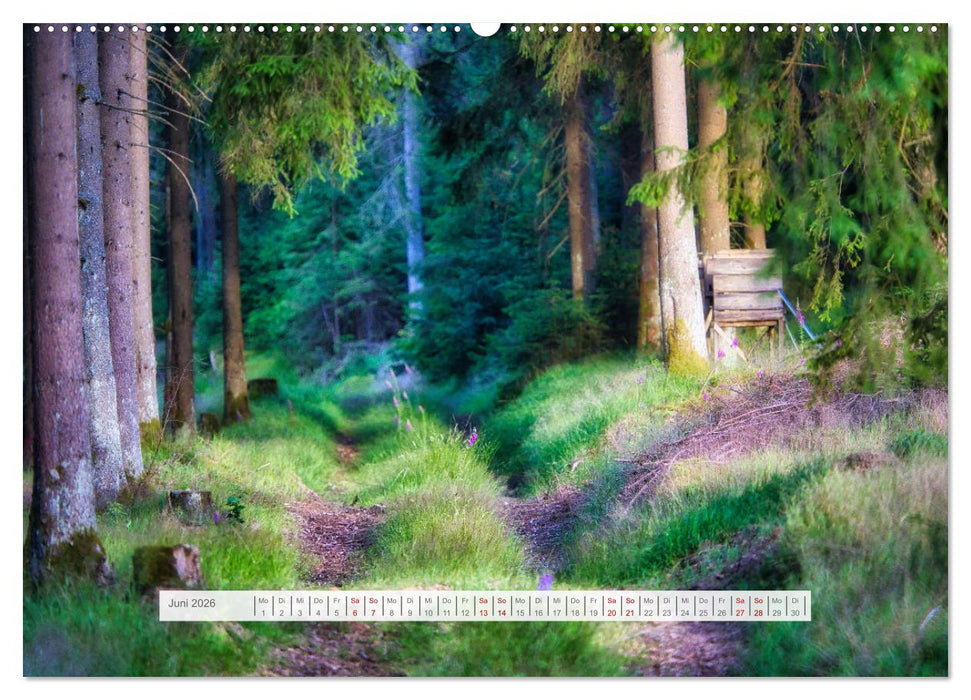 Traumhafte Waldstimmung am Rennsteig im Thüringer Wald (CALVENDO Premium Wandkalender 2026)