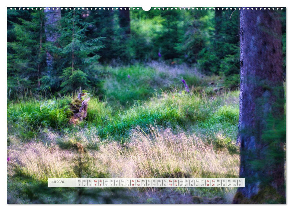 Traumhafte Waldstimmung am Rennsteig im Thüringer Wald (CALVENDO Premium Wandkalender 2026)
