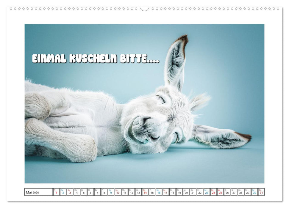 Humorvoll durch das Jahr (CALVENDO Premium Wandkalender 2026)