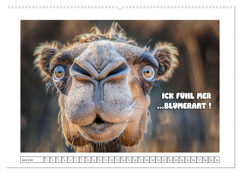 Humorvoll durch das Jahr (CALVENDO Premium Wandkalender 2026)