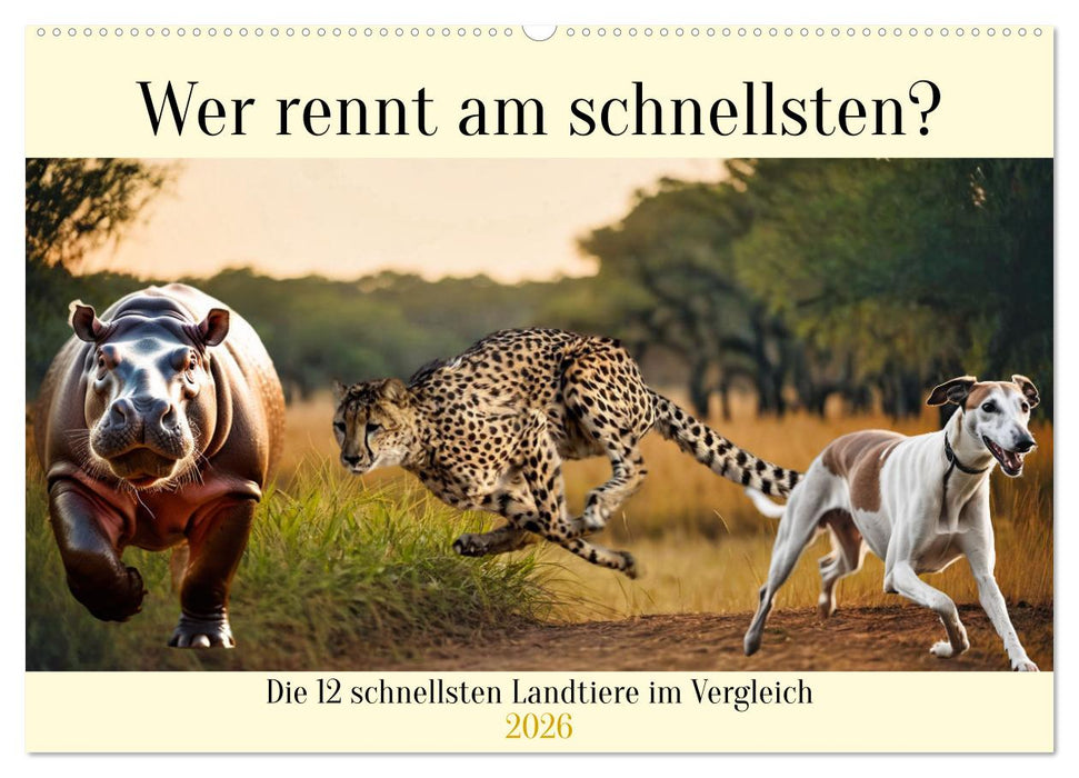 Wer rennt am schnellsten? (CALVENDO Wandkalender 2026)