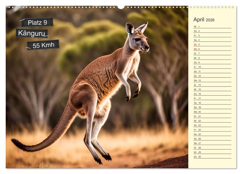 Wer rennt am schnellsten? (CALVENDO Wandkalender 2026)