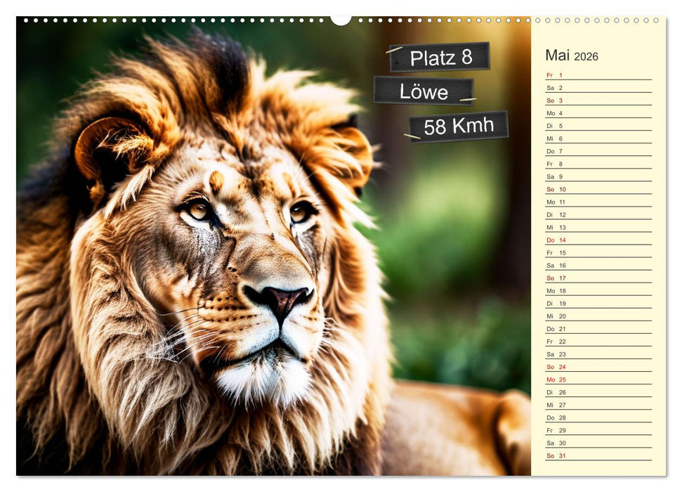 Wer rennt am schnellsten? (CALVENDO Wandkalender 2026)
