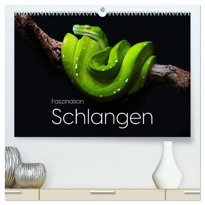 Faszination Schlangen (CALVENDO Premium Wandkalender 2026)