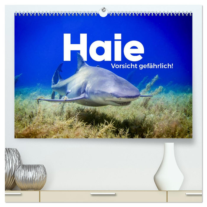 Haie - Vorsicht gefährlich! (CALVENDO Premium Wandkalender 2026)