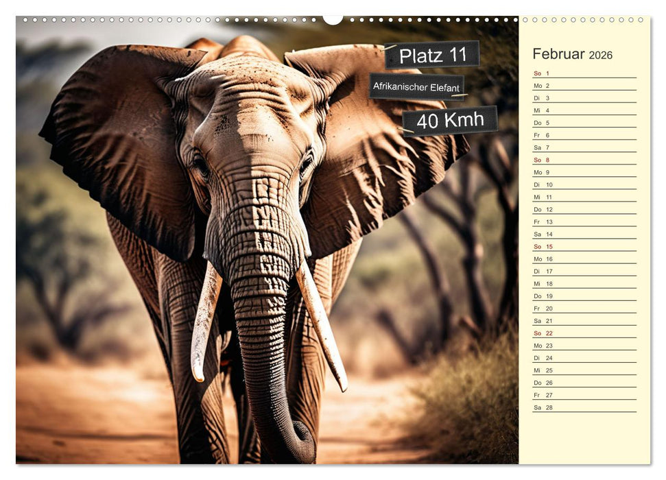Wer rennt am schnellsten? (CALVENDO Premium Wandkalender 2026)