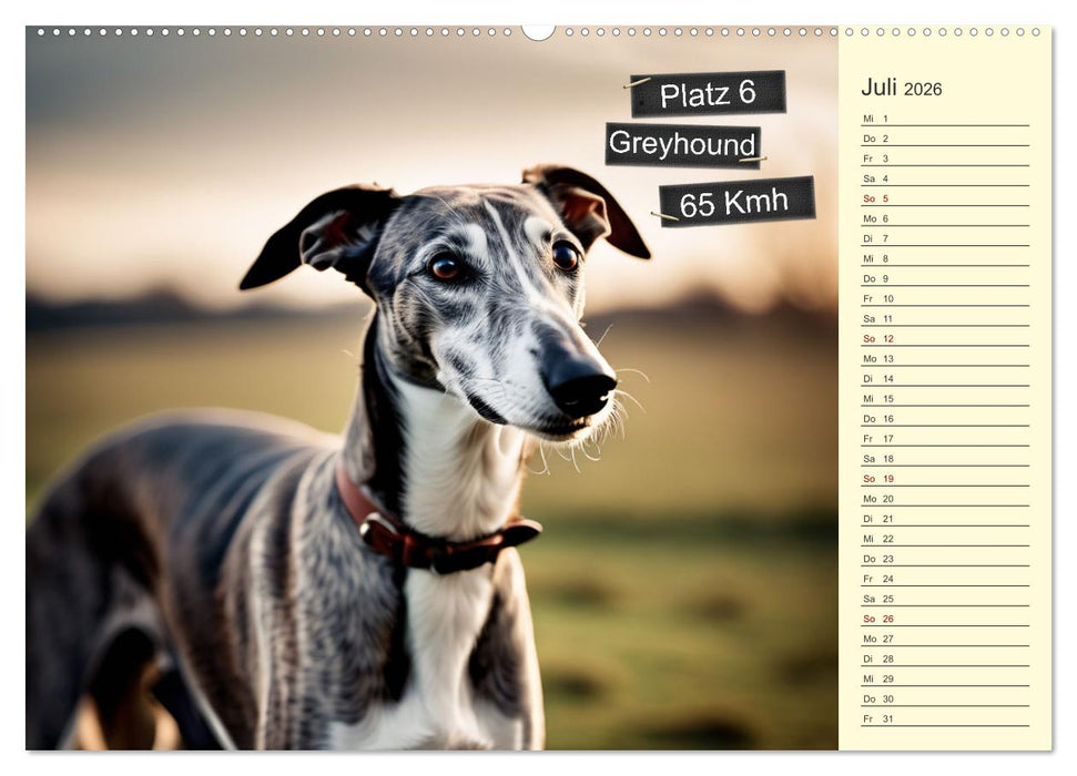 Wer rennt am schnellsten? (CALVENDO Premium Wandkalender 2026)