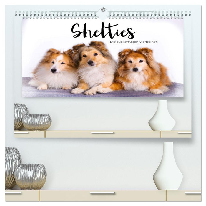 Shelties - Die zuckersüßen Vierbeiner. (CALVENDO Premium Wandkalender 2026)
