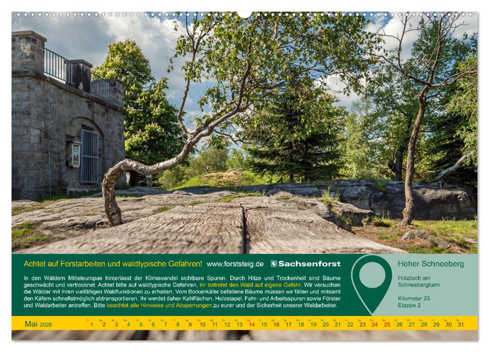 Erlebnis Forststeig Elbsandstein (CALVENDO Premium Wandkalender 2026)