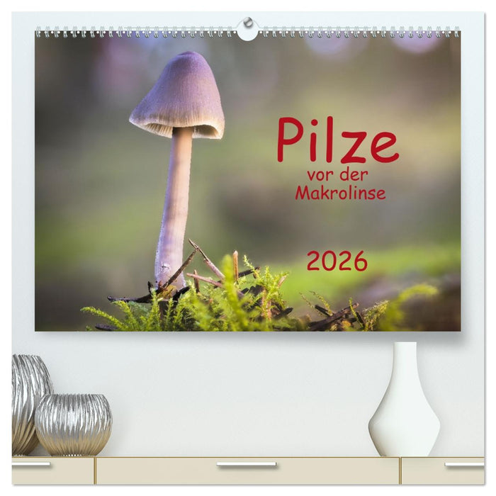 Pilze vor der Makrolinse 2026 (CALVENDO Premium Wandkalender 2026)