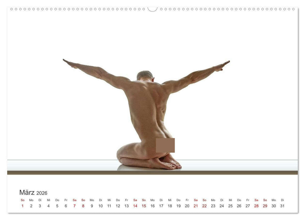 Form und Sinnlichkeit - minimalistische Männerakte (CALVENDO Premium Wandkalender 2026)