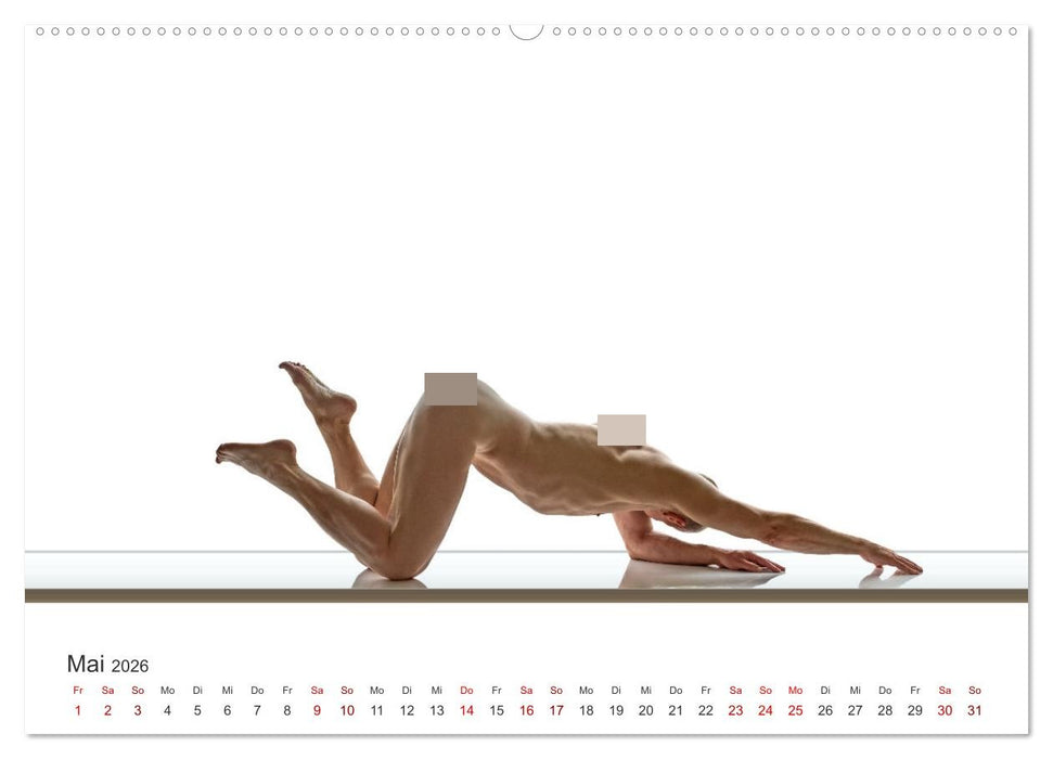 Form und Sinnlichkeit - minimalistische Männerakte (CALVENDO Premium Wandkalender 2026)