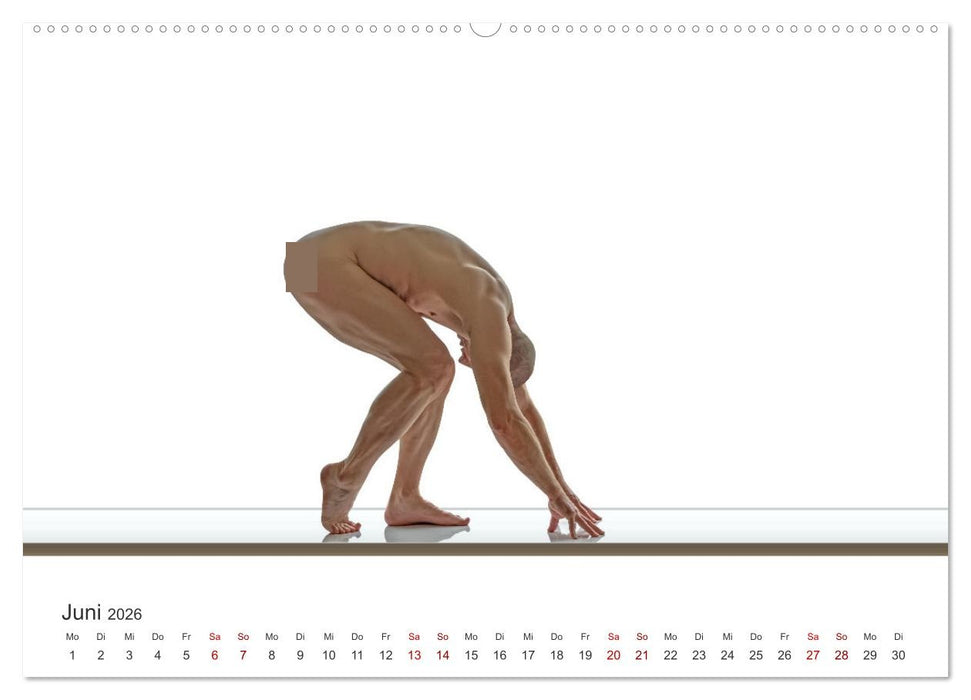 Form und Sinnlichkeit - minimalistische Männerakte (CALVENDO Premium Wandkalender 2026)