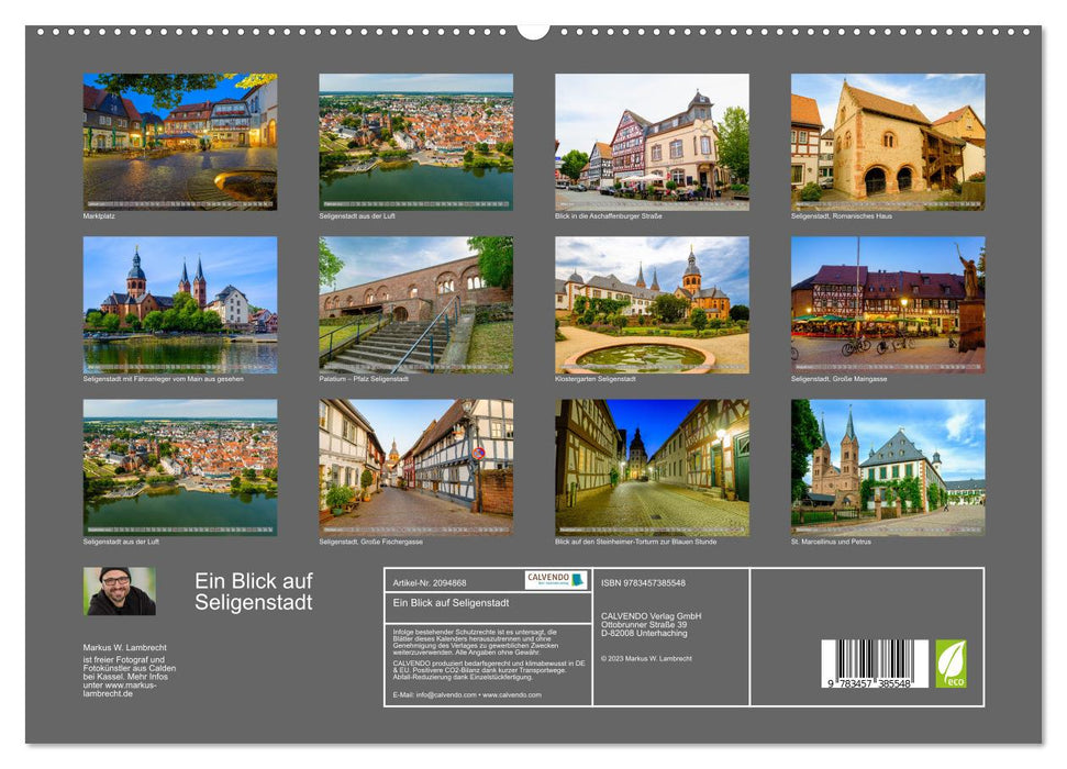 Ein Blick auf Seligenstadt (CALVENDO Premium Wandkalender 2026)