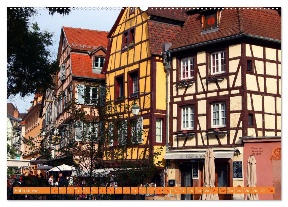 Das Elsass (CALVENDO Premium Wandkalender 2026)