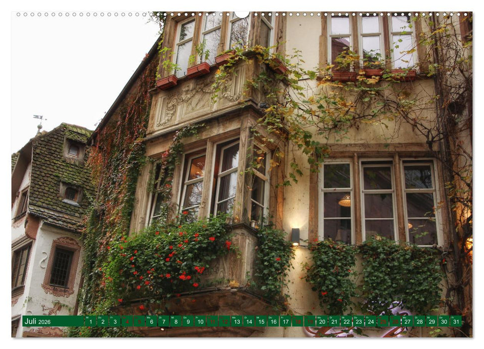 Das Elsass (CALVENDO Premium Wandkalender 2026)