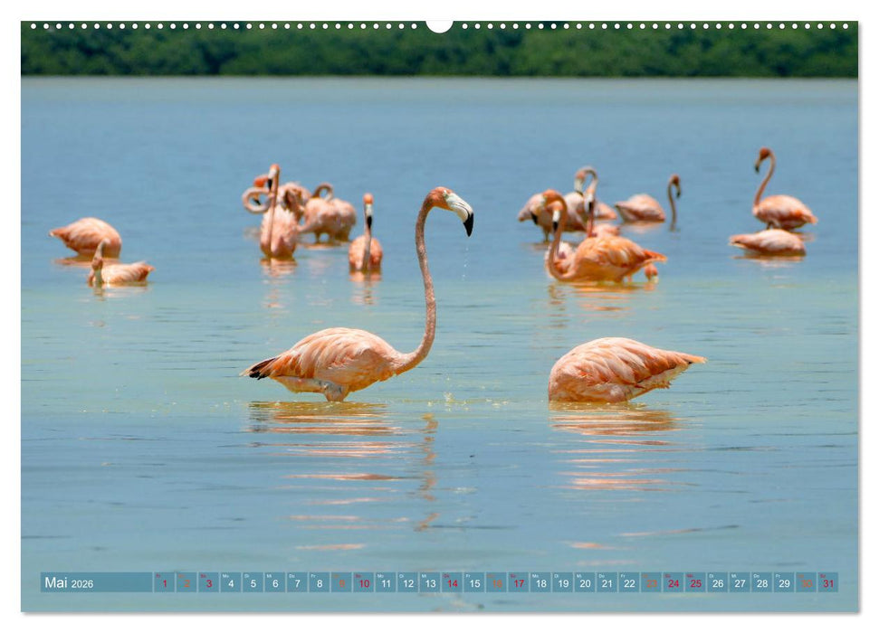 Geheimnisvolle Orte Yucatán (CALVENDO Wandkalender 2026)