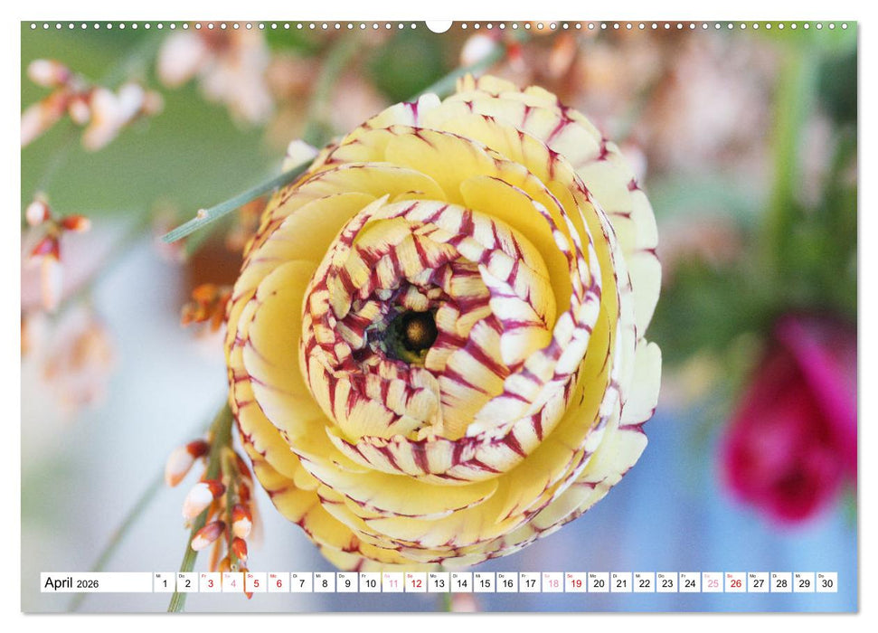 Blumenpracht - Blüten und Sträuße (CALVENDO Premium Wandkalender 2026)