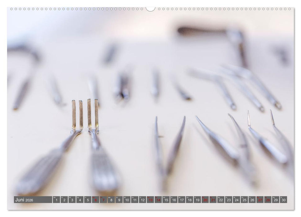 Hospital FotoArt (CALVENDO Premium Wandkalender 2026)