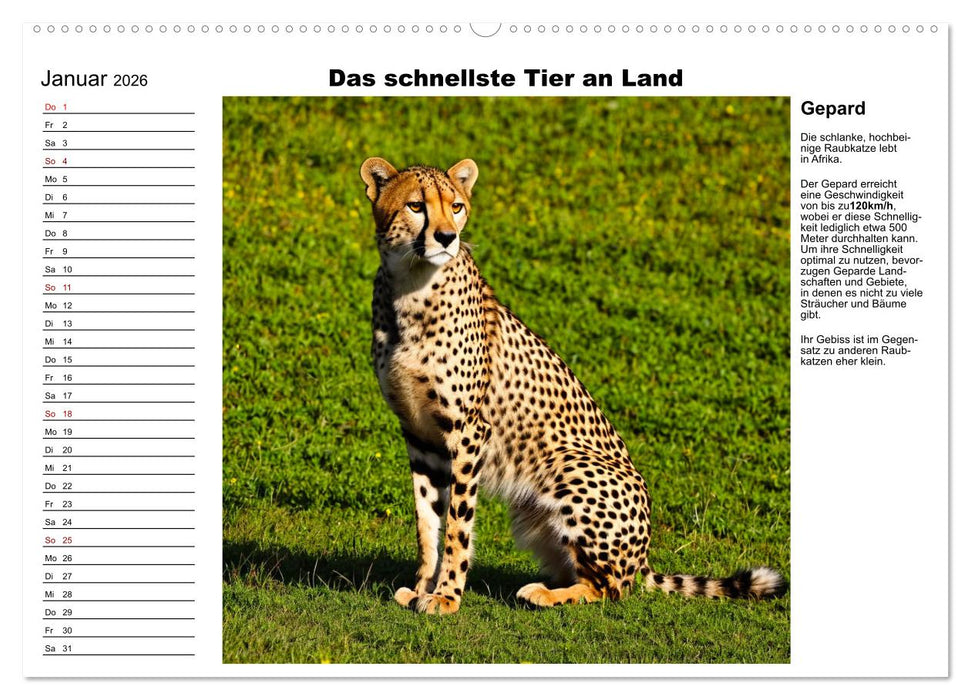 Tierische Rekorde (CALVENDO Wandkalender 2026)