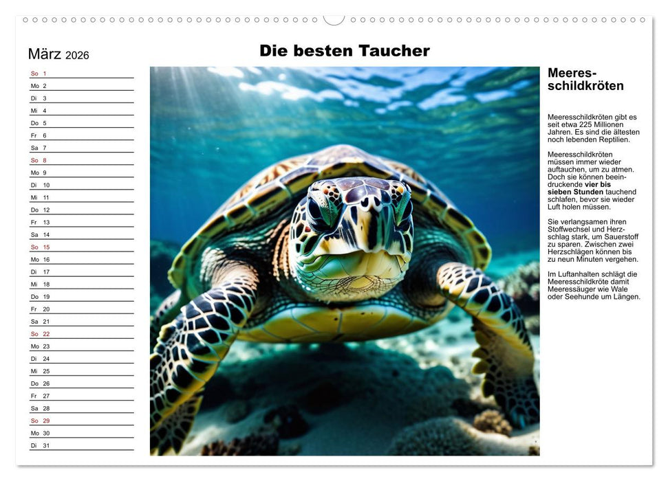 Tierische Rekorde (CALVENDO Wandkalender 2026)