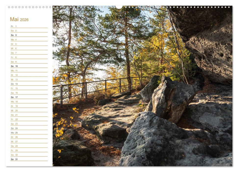 Ein goldenes Jahr - Elbsandstein (CALVENDO Premium Wandkalender 2026)