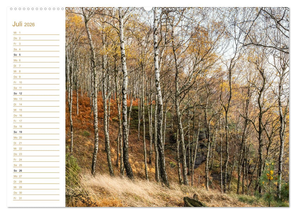 Ein goldenes Jahr - Elbsandstein (CALVENDO Premium Wandkalender 2026)