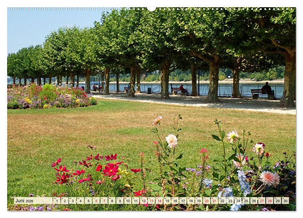 Worms-Nibelungenstadt am Rhein (CALVENDO Premium Wandkalender 2026)