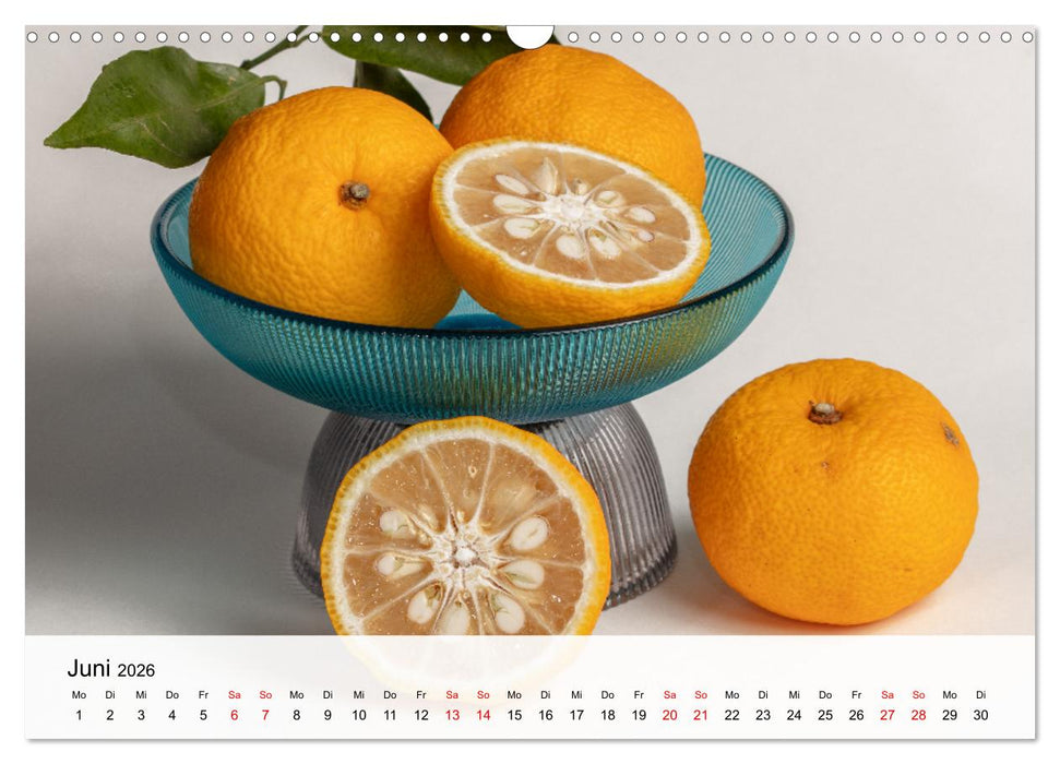 Japanese Cuisine (CALVENDO Wandkalender 2026)