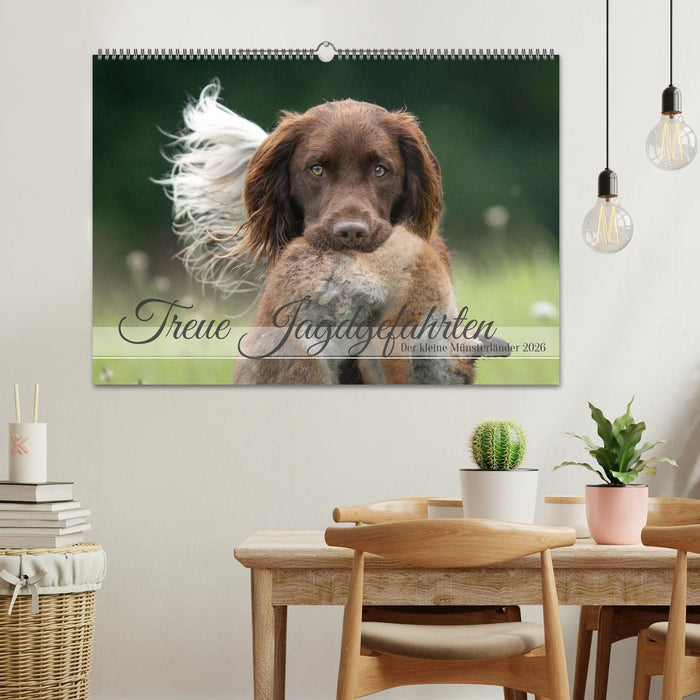 Treue Jagdgefährten Der kleine Münsterländer (CALVENDO Wandkalender 2026)