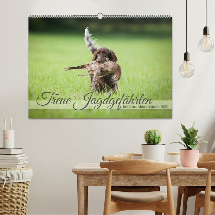 Treue Jagdgefährten Der kleine Münsterländer (CALVENDO Wandkalender 2026)