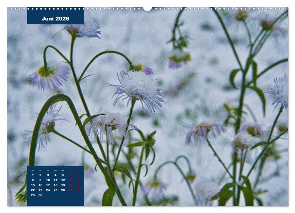 Winterstimmungen in Deutschland (CALVENDO Premium Wandkalender 2026)